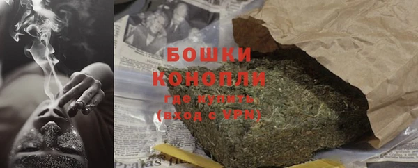 ПСИЛОЦИБИНОВЫЕ ГРИБЫ Алексеевка