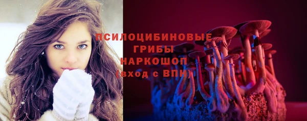 ECSTASY Алзамай