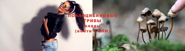 ПСИЛОЦИБИНОВЫЕ ГРИБЫ Алексеевка