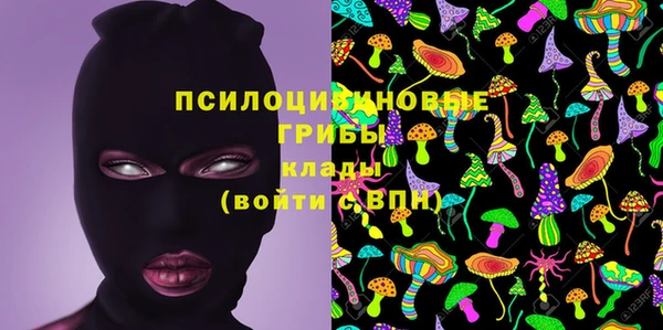 ECSTASY Алзамай
