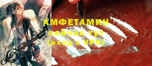 ECSTASY Алзамай